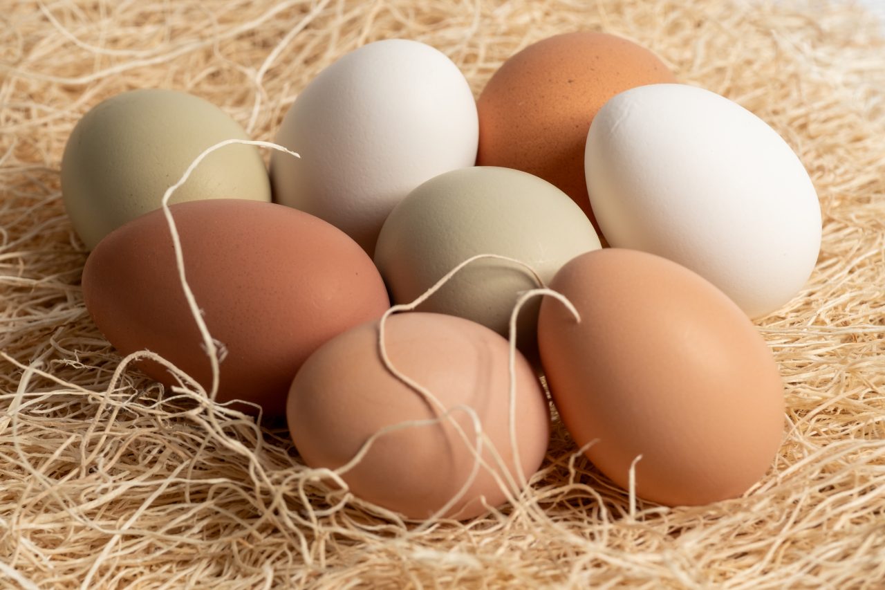 Product photography of chicken eggs from backyard chickens on a straw base